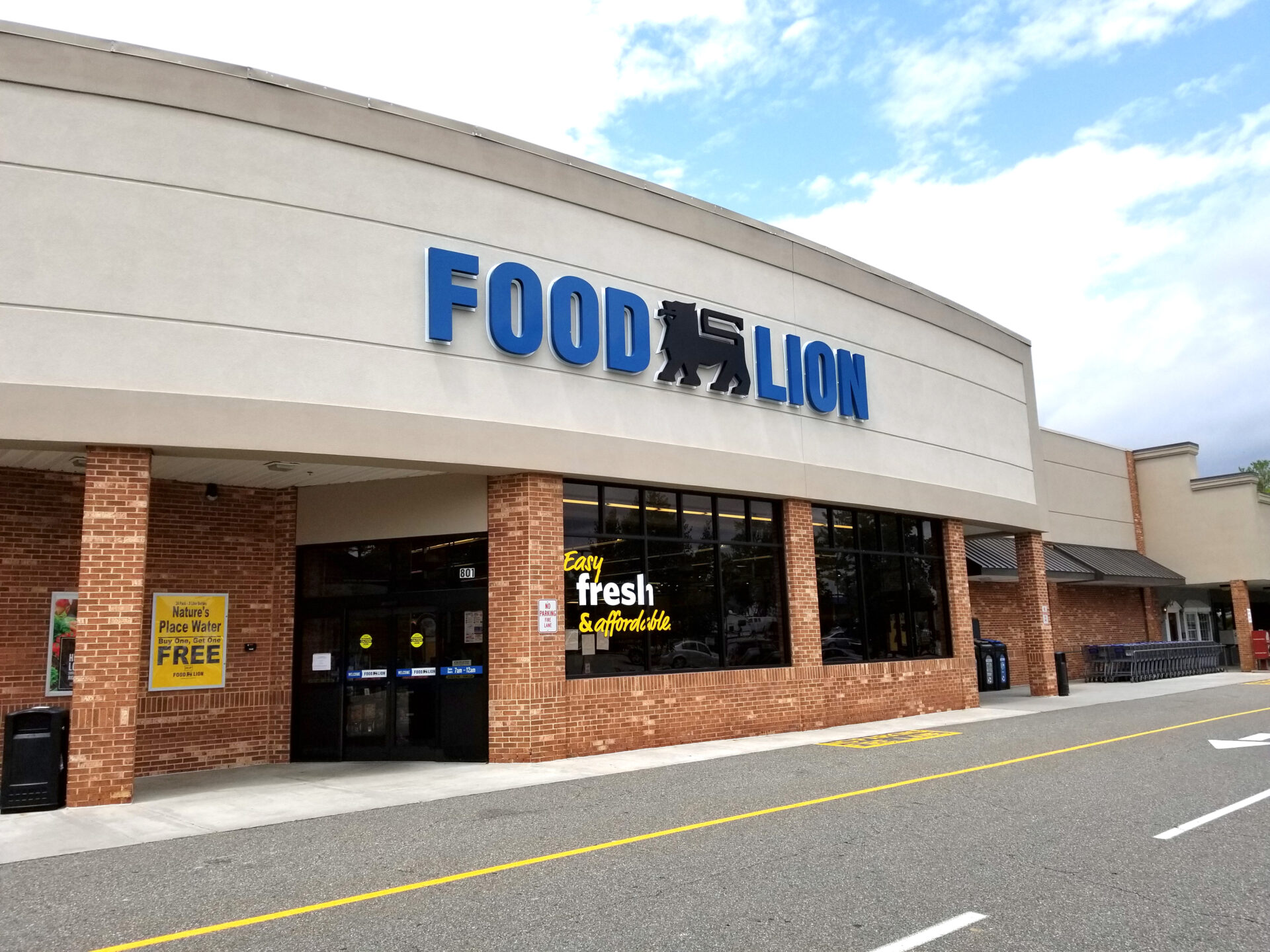 A food lion store on the side of the street.